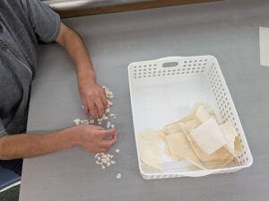 取り出したパルプを、細かくちぎります。